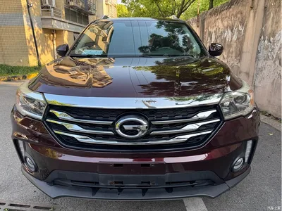 2016 GAC Trumpchi Trumpchi GS4 235T G-DCT Elite Edition, фото 2, лот 11230711