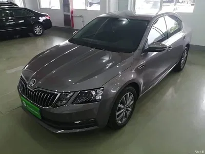 2019 Škoda Octavia 1.5L Automatic Smart Comfort China VI, фото 1, лот 10348035