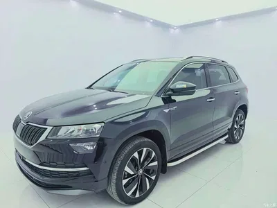 2023 Škoda Karoq TSI280 Luxury Edition, фото 1, лот 10400143