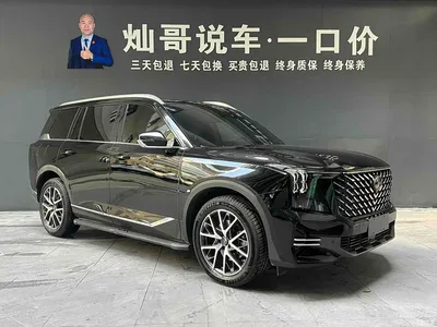 2025 GAC Trumpchi Trumpchi GS8 Pilot Series 2.0TGDI 2WD Luxury Edition 5-seater, фото 3, лот 10414436