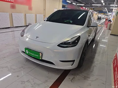 2024 Tesla Model Y Rear-Wheel Drive Version, фото 2, лот 10370860