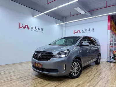 2020 Buick GL8 Model Land Business Class 652T Luxury, фото 1, лот 10250192