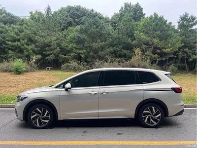 2020 Volkswagen Viloran 330TSI Luxury Edition, фото 2, лот 10475646