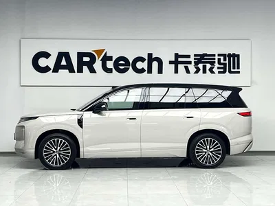 2026 BYD Dynasty-D, фото 3, лот 11146605