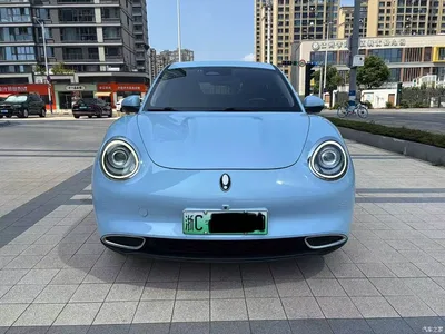 2021 Ora Good Cat 400km Standard Range Venus Edition (LFP), фото 2, лот 11180397