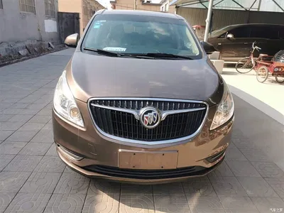 2017 Buick GL8 25S Luxury China V, фото 3, лот 10262392