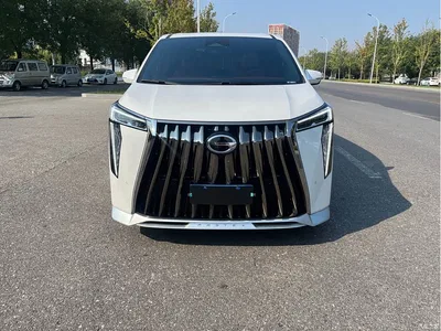 2024 GAC Trumpchi Trumpchi M8 Patriarch Series 400T Ultimate Edition, фото 2, лот 10414137