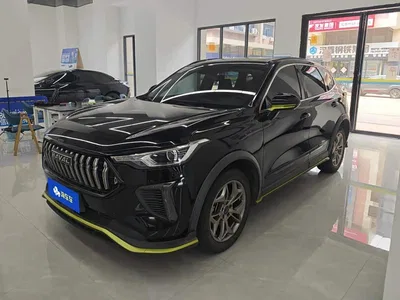 2022 Haval Chitu Power Edition 1.5T Brass Rabbit, фото 1, лот 10765070