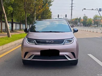 2023 BYD Dolphin 420km Fashion Edition, фото 2, лот 11283032