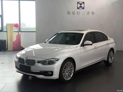 2018 BMW 3 Series 320Li Fashion Style, фото 1, лот 11221252