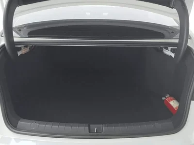 2020 BYD Qin Pro Surpass Edition 1.5TI Automatic Premium, фото 4, лот 10958217