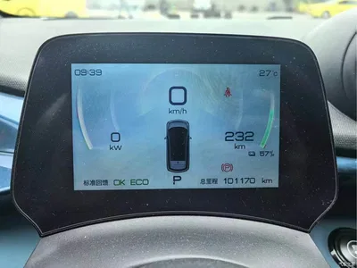 2021 Byd Dolphin, фото 4, лот 10244599