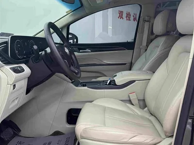 2021 Buick GL8 ES Landlord 653T Comfort, фото 4, лот 10254732
