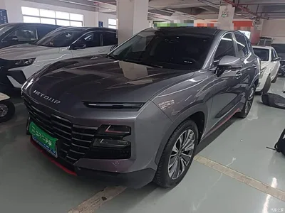 2024 Jetour Dasheng 1.6T DCT King, фото 1, лот 10832597
