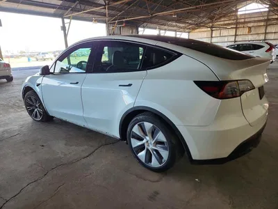 2020 TESLA MODEL Y, фото 2, лот 11576906