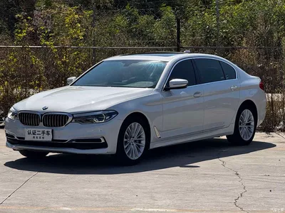 2020 BMW 5 Series 530Li Leading Luxury Package, фото 1, лот 11585154