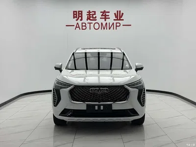 2021 Haval First Love 1.5T Automatic Junior Edition, фото 3, лот 11204045