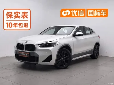2020 BMW X2 sDrive20i M Off-Road Package, фото 1, лот 10448301