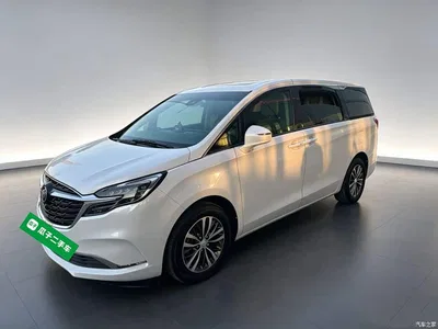 2021 Buick GL8 ES Landlord 653T Premium, фото 2, лот 10689925