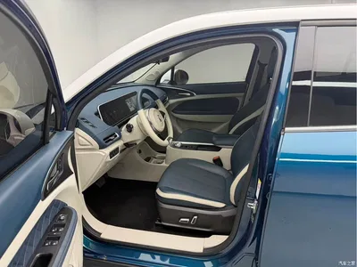 2021 Ora Good Cat 400km Standard Range Athena Edition (LFP), фото 4, лот 10332258