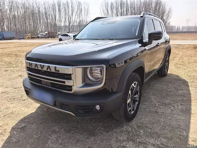 2024 Haval Big Dog 2.0T DCT Chinese Rural Dog Edition, фото 1, лот 10361239