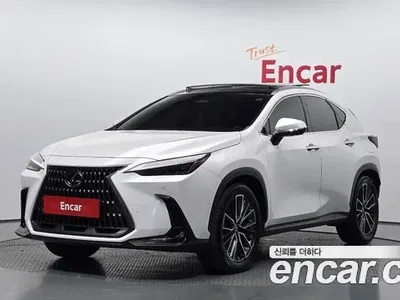 2023 Lexus NX 350h Luxury, фото 1, лот 10033545