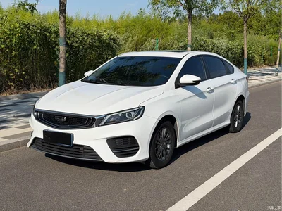 2020 Geely Binrui 200T Manual Comfort, фото 1, лот 10304521