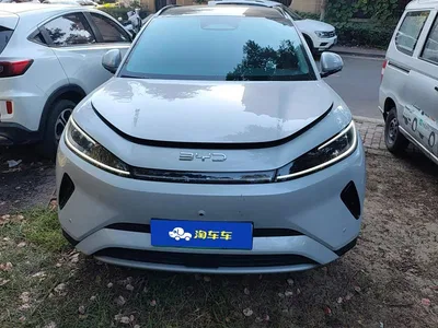 2025 BYD Hai Shi 05 EV 520KM Flagship Smart Navigation Edition, фото 2, лот 11570039