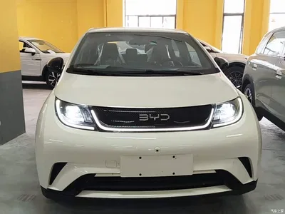 2025 BYD Dolphin 420km Freedom Edition, фото 3, лот 10258795