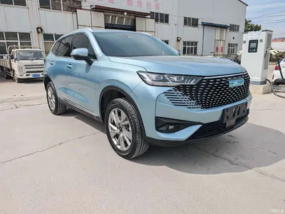2023 Haval H6 New Energy DHT-PHEV 55KM Joy Ride Edition, фото 3, лот 11585781