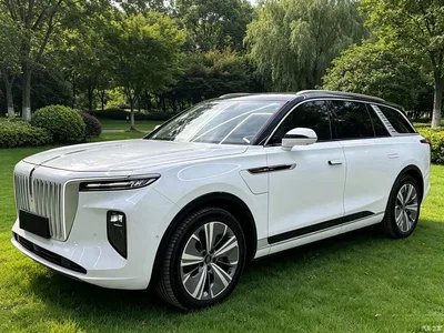 2022 Hongqi E-HS9 690km Qi Xiang Edition (6-seater), фото 1, лот 10288617