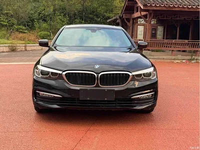 2018 BMW 5 Series 528Li Launch Special Edition, фото 2, лот 11397562
