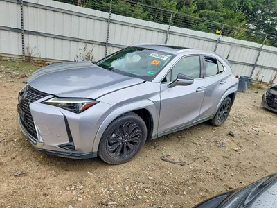 2024 LEXUS UX 250H PREMIUM, фото 1, лот 10899848