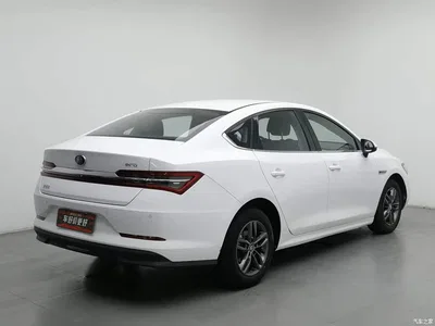2020 BYD Qin Pro Surpass Edition 1.5TI Manual Luxury, фото 2, лот 10957967