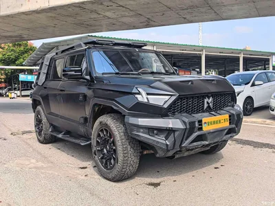 2023 Mengshi 917 Extended Range Base Version, фото 3, лот 11642579