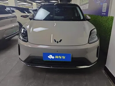 2025 Wuling Motors Wuling Bingo S Model 325km Flagship Edition, фото 3, лот 10833898
