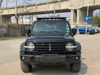2021 Tank 300 Off-road Version 2.0T Conqueror, фото 2, лот 10442578