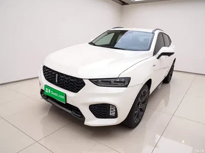 2019 WEY VV7 Upgraded 2.0T Flagship China V, фото 1, лот 11193323