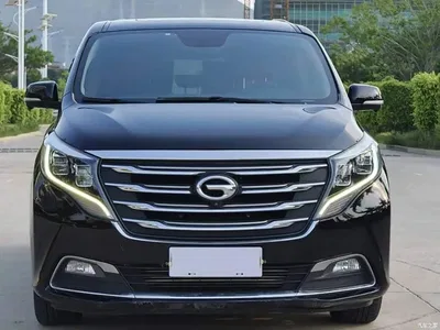 2019 GAC Trumpchi Trumpchi M8 320T Ultimate Edition, фото 2, лот 10420211