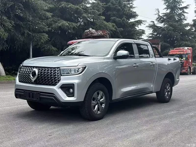 2023 Great Wall Pao 2.0T Commercial Auto Diesel 4WD Elite Long Box GW4D20M, фото 2, лот 10248930