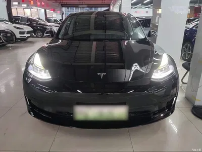 2021 Tesla Model 3 Standard Range Rear-Wheel Drive Upgrade 3D6, фото 3, лот 11585044