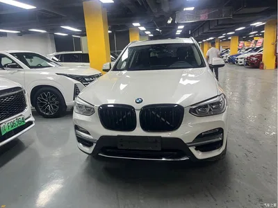 2018 BMW X3 xDrive25i M Sport Package China V, фото 2, лот 10460938