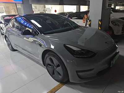 2020 Tesla Model 3 Standard Range Rear-Wheel Drive Upgrade, фото 4, лот 10319322