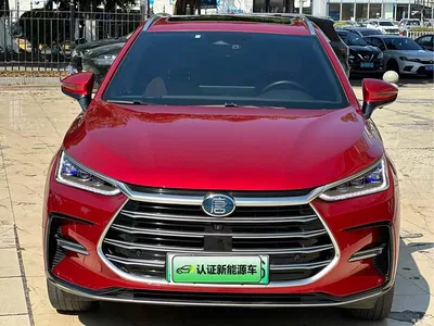 2021 BYD Tang New Energy DM-i 112KM Honor, фото 2, лот 10274260