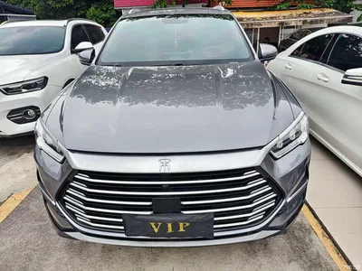 2021 BYD Song Pro 1.5T Automatic Luxury, фото 2, лот 10254025