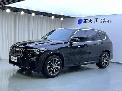 2020 BMW X5 (Import) xDrive30i M Sport Package, фото 1, лот 10232208
