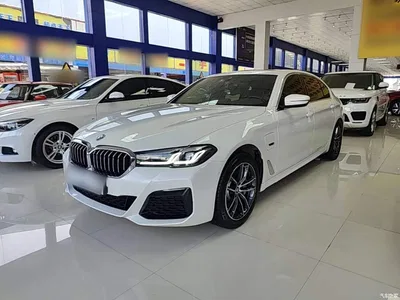 2022 BMW 5 Series New Energy Facelift 535Le M Sport Package, фото 2, лот 10474072