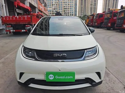 2024 BYD Dolphin Glory Edition 420km Fashion Edition, фото 3, лот 10263982