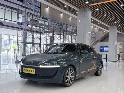 2020 Leapmotor S01 460 Standard, фото 1, лот 10391611