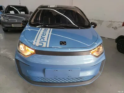 2021 Sehol Flower Fairy 302km Luxury 30.2kWh, фото 3, лот 11155443